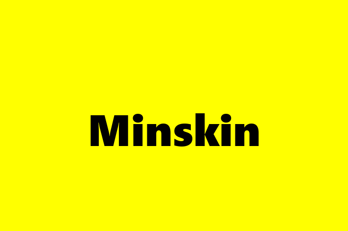 Find Your New Minskin Cat in Tavistock