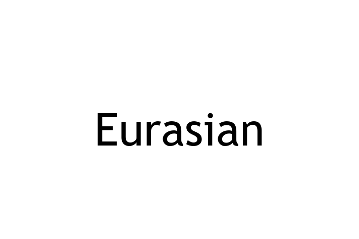 Adopt a Friendly Eurasian Dog in Stockport