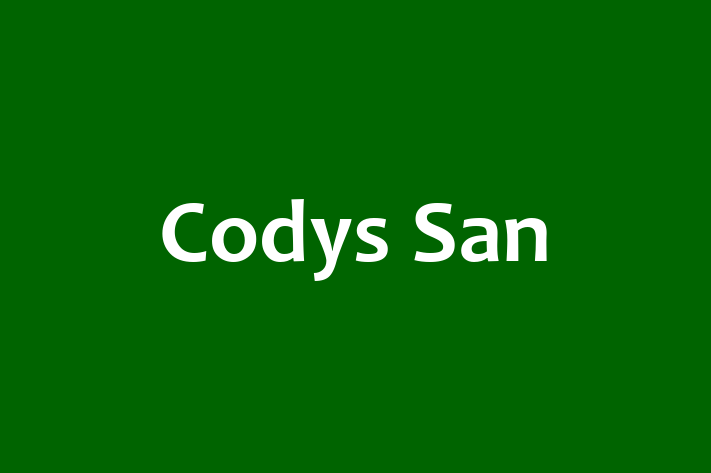 Codys San