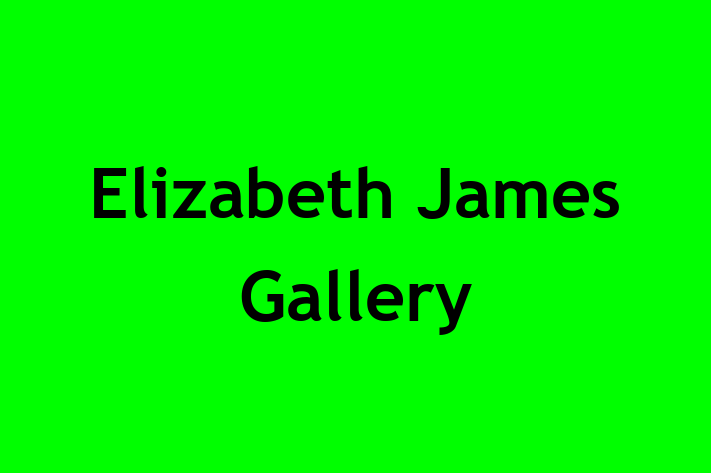 Elizabeth James Gallery