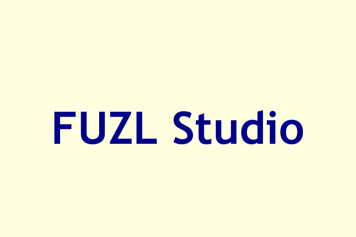 FUZL Studio