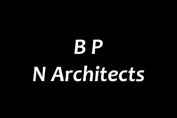 B P N Architects