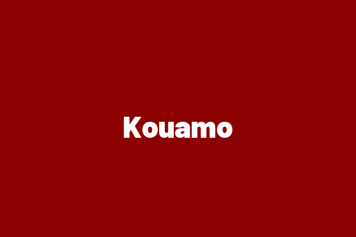 Kouamo