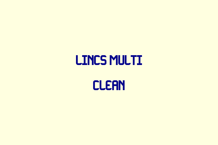 Lincs Multi Clean