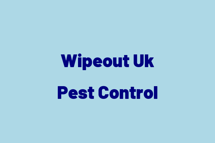 Wipeout Uk Pest Control