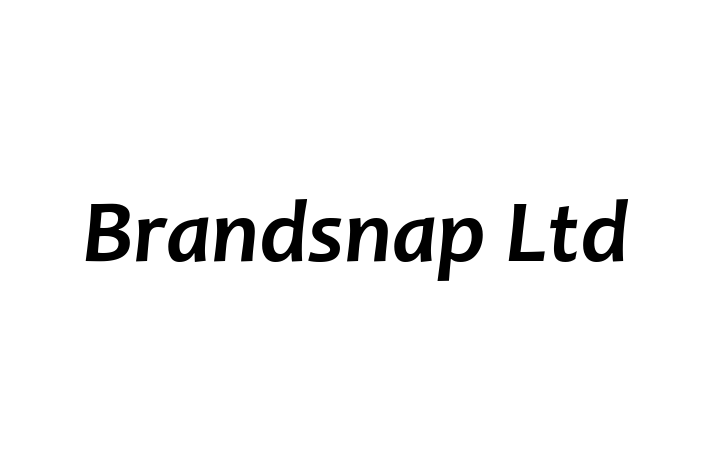 Brandsnap Ltd