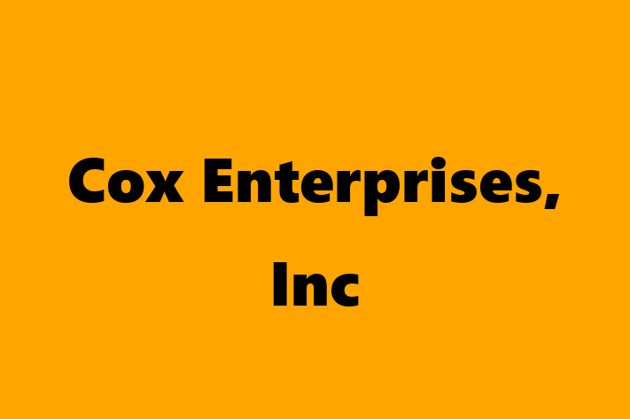 Tech Solutions Company Cox Enterprises Inc