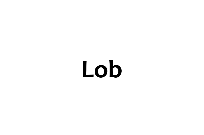 Software Engineering Company Lob