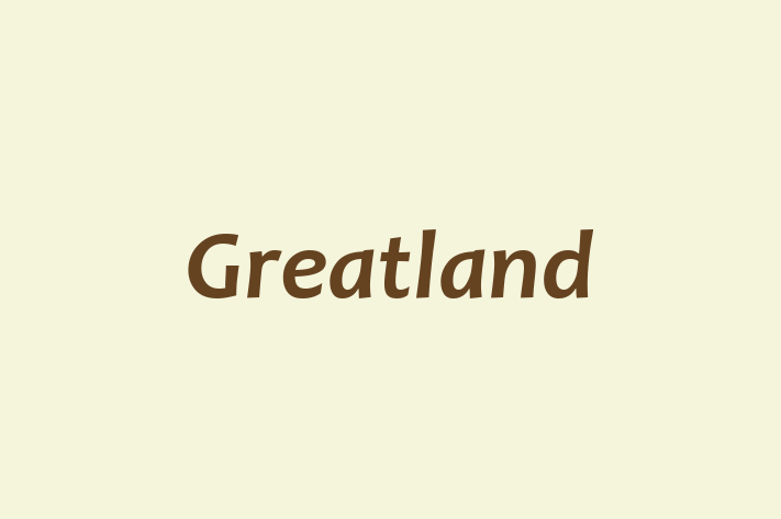 Tech Solutions Company Greatland