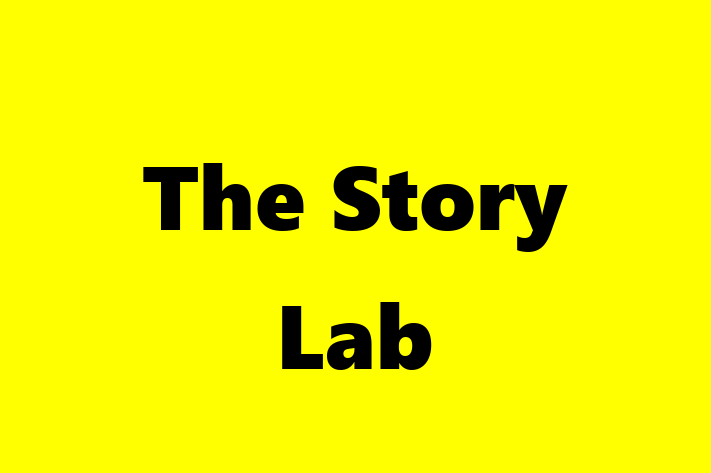 Software Services Company The Story Lab