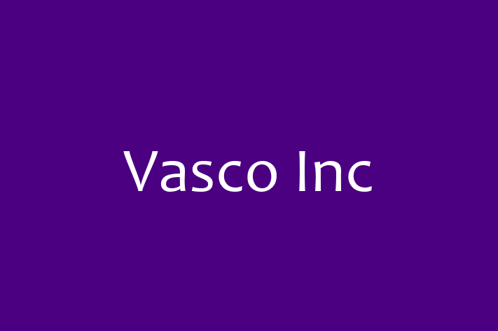 IT Company Vasco Inc