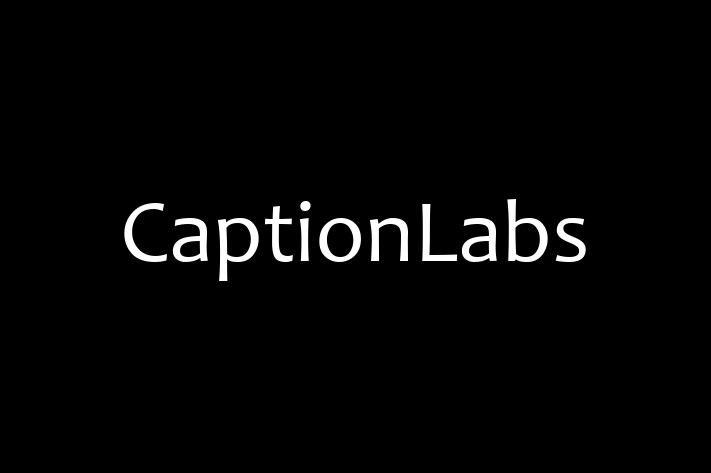 Software Consultancy CaptionLabs