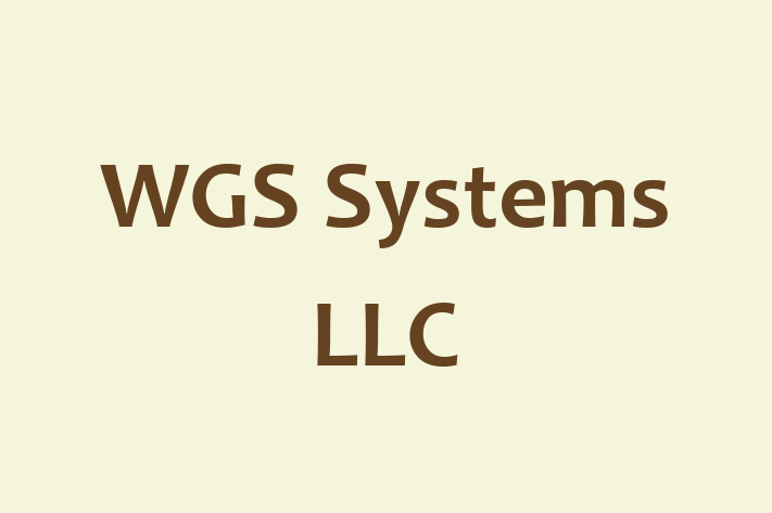 Software Consultancy WGS Systems LLC