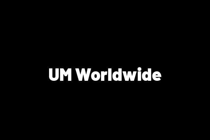 Technology Solutions Firm UM Worldwide