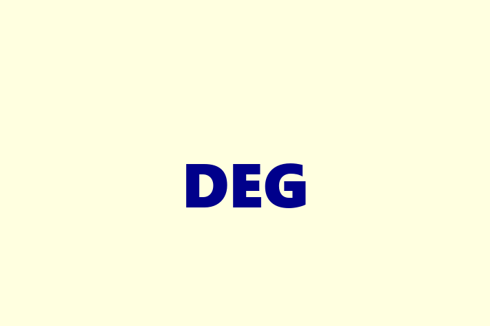 Software Solutions Provider DEG