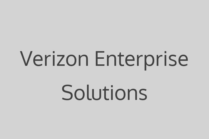 Application Development Company Verizon Enterprise Solutions