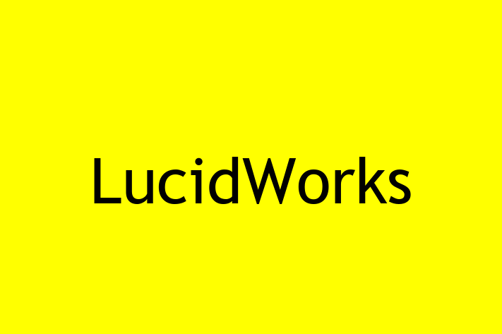 Digital Solutions Provider LucidWorks