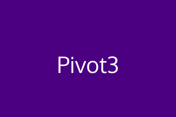 Software Development Firm Pivot3