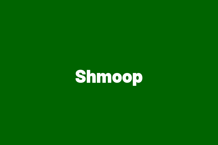 Software Development Firm Shmoop