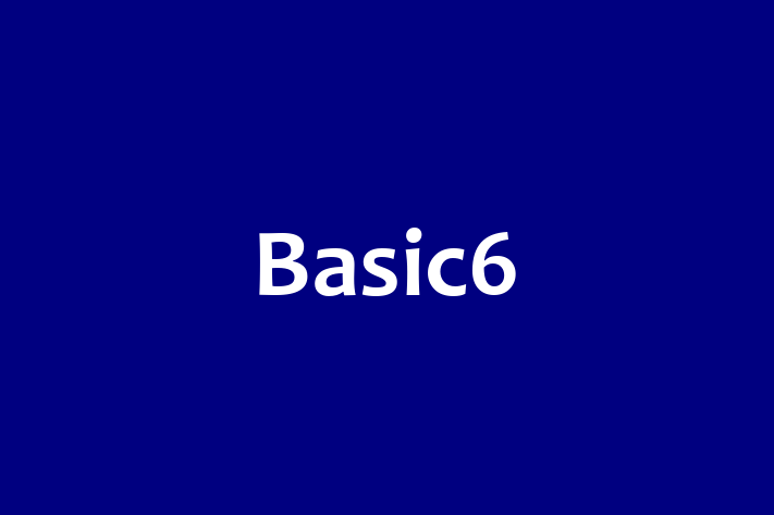 Software Engineering Company Basic6