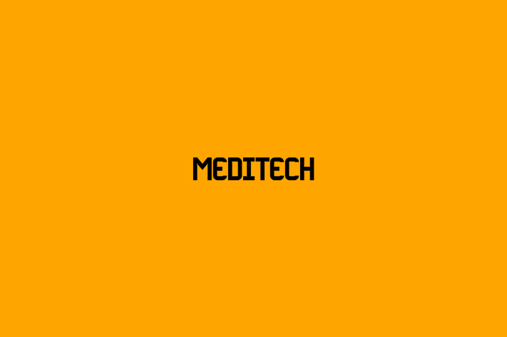 IT Company Meditech