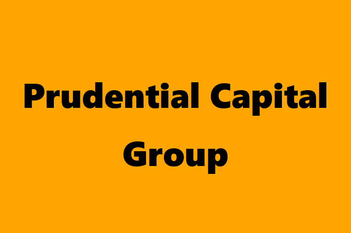 Technology Solutions Firm Prudential Capital Group