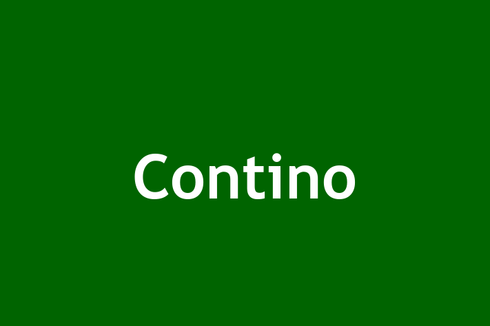 Software Development Firm Contino