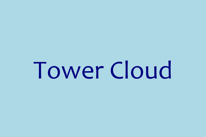 Software House Tower Cloud