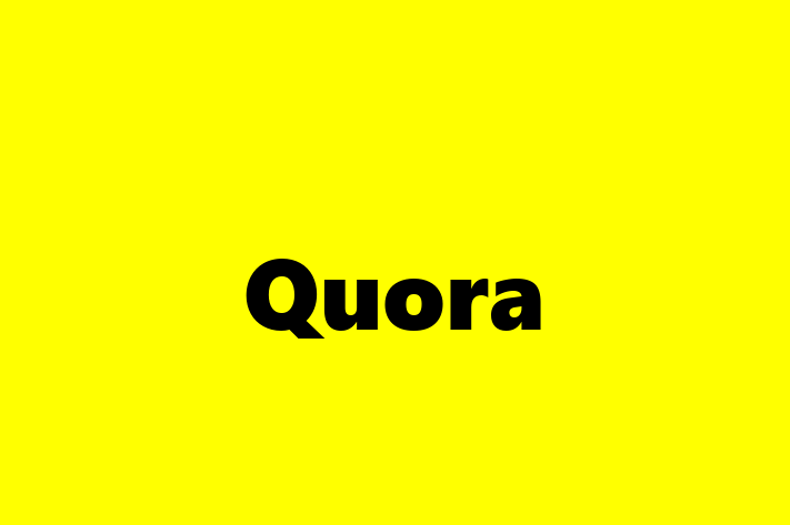 IT Company Quora