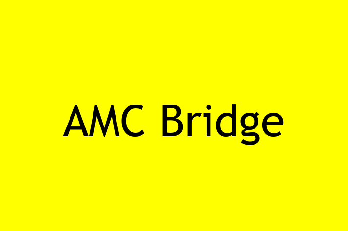 Digital Solutions Provider AMC Bridge