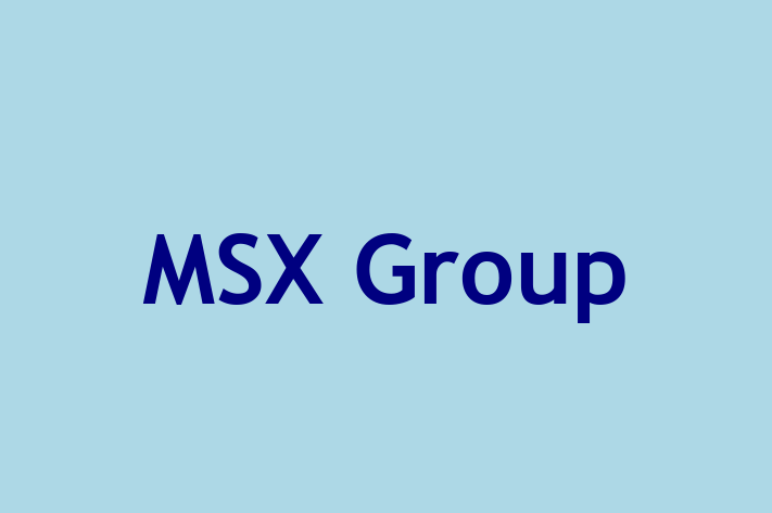 Application Development Company MSX Group