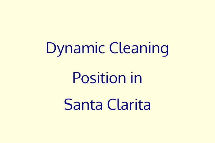 Dynamic Cleaning Position in Santa Clarita