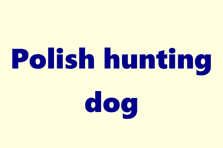 Polish hunting dog Dog PuppiesKittens for Sale in Thousand Oaks