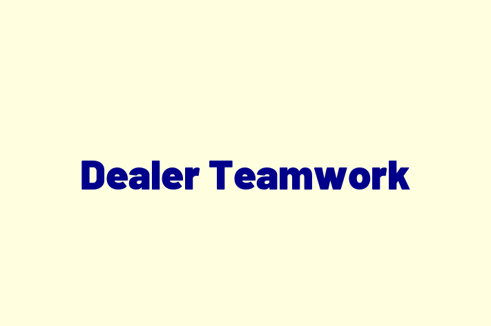 Software Firm Dealer Teamwork