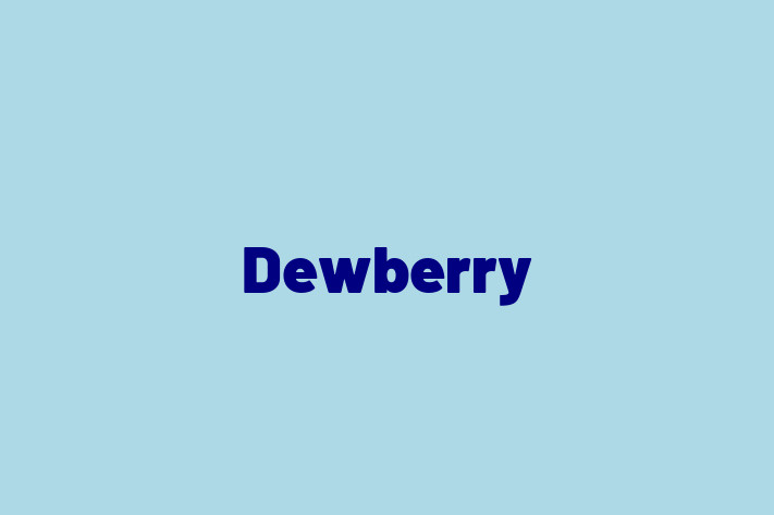 Tech Firm Dewberry