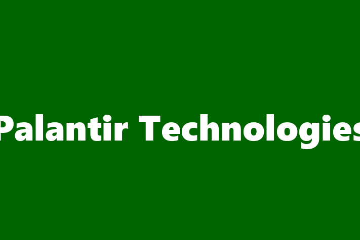 Software Services Company Palantir Technologies