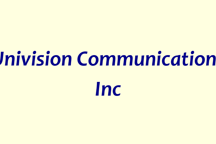 Software Consultancy Univision Communications Inc