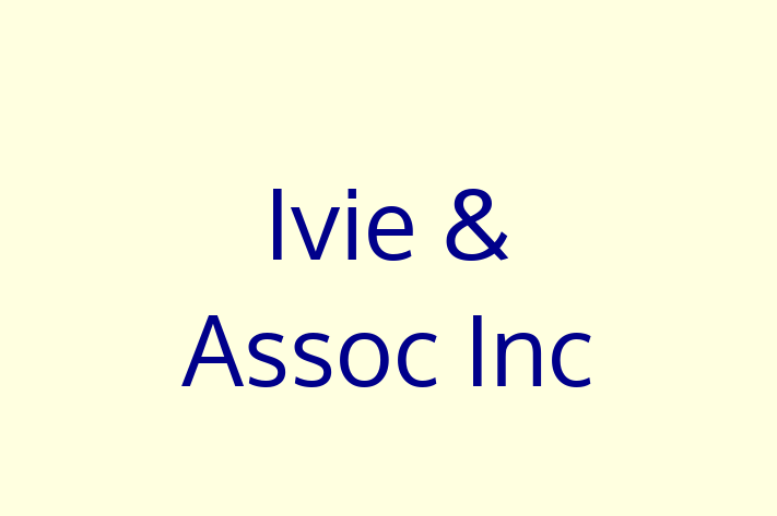 Software Solutions Provider Ivie  Assoc Inc