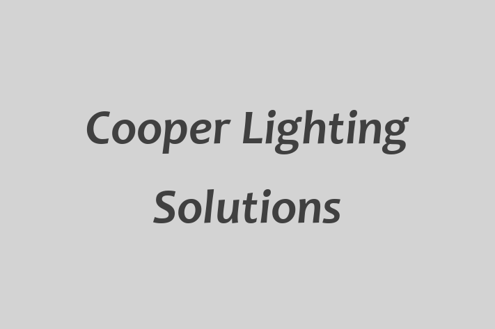 Staff Management Cooper Lighting Solutions