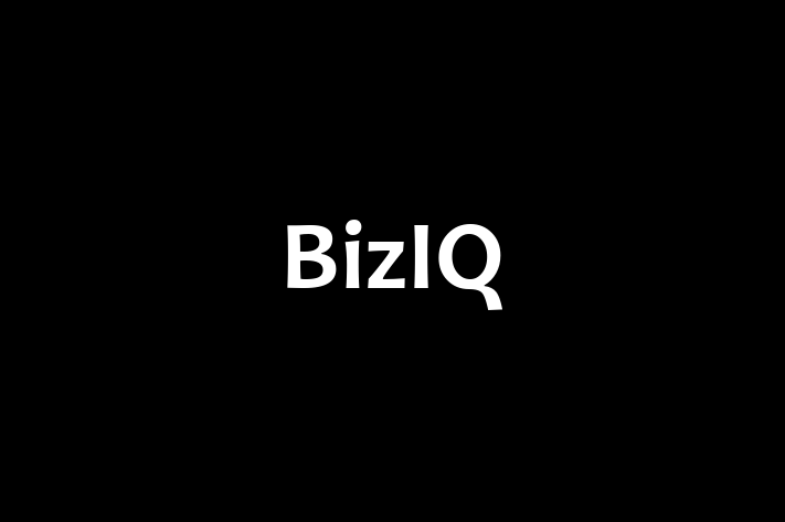 Application Development Company BizIQ