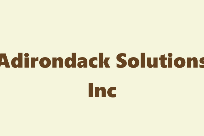 Software Development Company Adirondack Solutions Inc