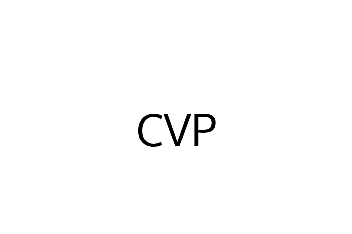 Software Consultancy CVP