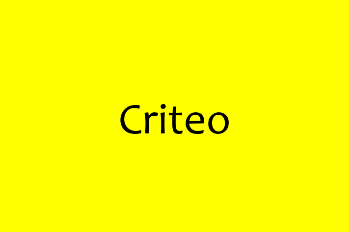 IT Company Criteo