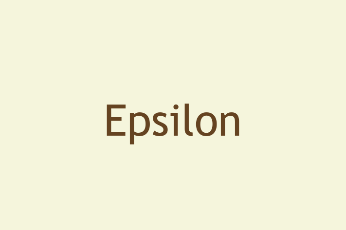 Software House Epsilon