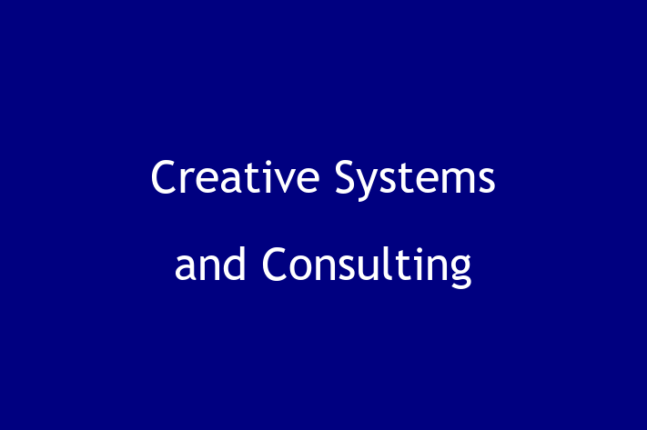 Software Firm Creative Systems and Consulting