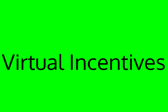 Software Engineering Company Virtual Incentives