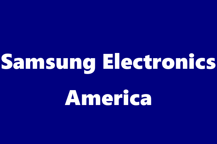 Talent Management Samsung Electronics America