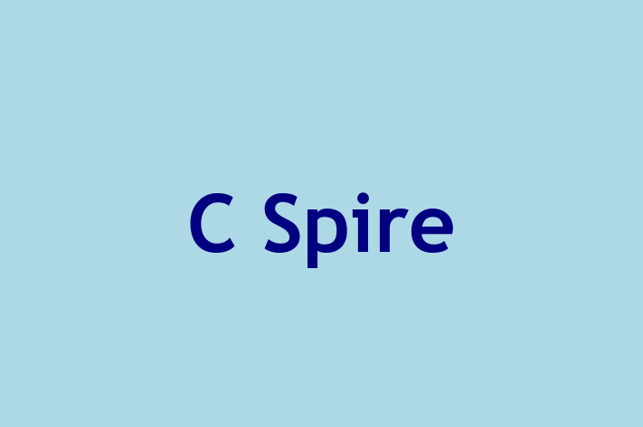 Software Development Company C Spire