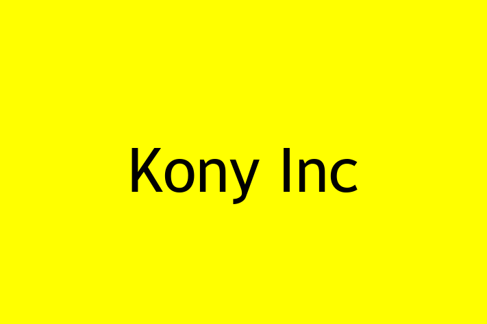 Software Solutions Provider Kony Inc