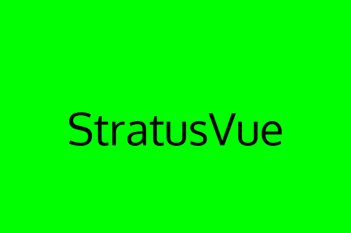 Technology Solutions Firm StratusVue